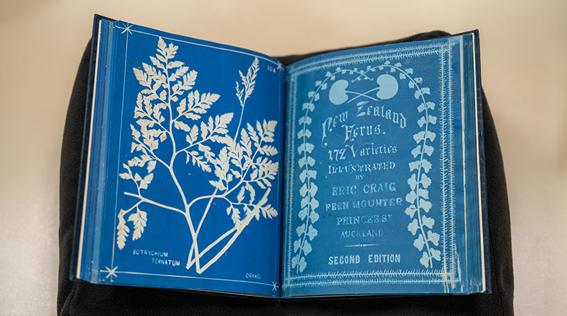 A thick open book that has illustrations of ferns and the words New Zealand ferns. 172 varieties. Illustrated by Eric Craig.