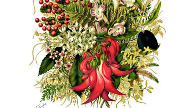 View the Flowers, fruit and foliage collection.