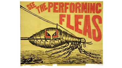 Browse through our ephemera collection.