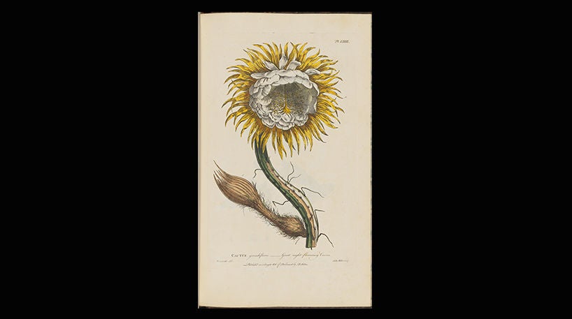 Figures of beautiful, useful, and uncommon plants, 1809.