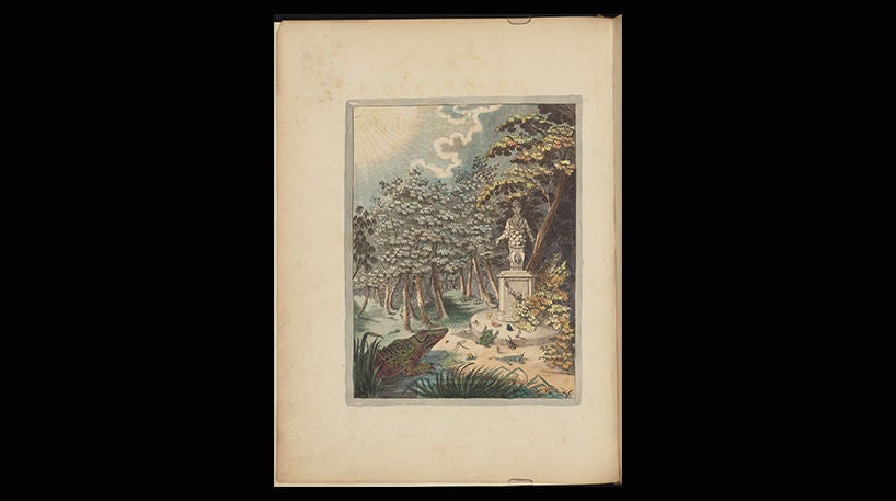 An exposition of English insects, 1782.