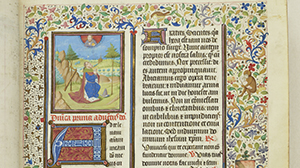Medieval manuscripts rare book