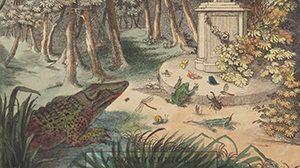 Hand colouring rare book