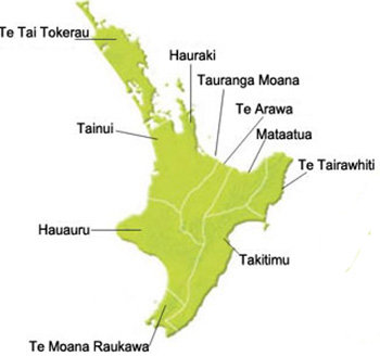 Map of iwi in North Island New Zealand.
